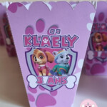Boîtes popcorn
Pat Patrouille Girly