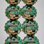 Carte chocolat
Dinosaures